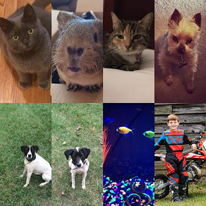 Meet your Posher, Bryan